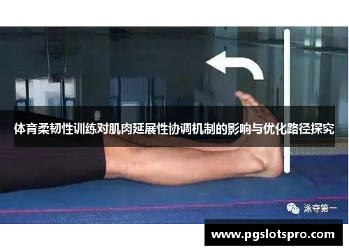 体育柔韧性训练对肌肉延展性协调机制的影响与优化路径探究