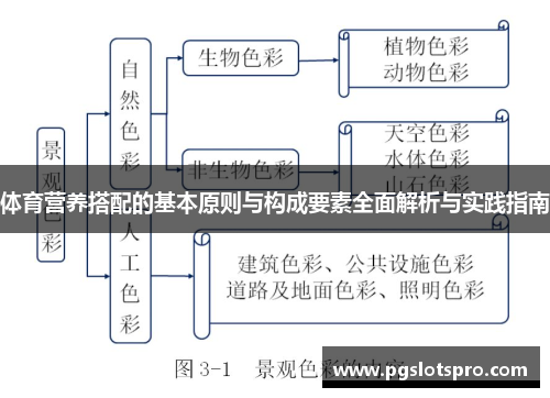 体育营养搭配的基本原则与构成要素全面解析与实践指南