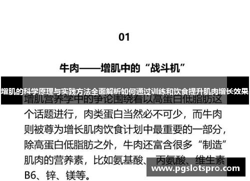 增肌的科学原理与实践方法全面解析如何通过训练和饮食提升肌肉增长效果