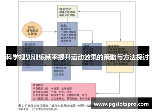 科学规划训练频率提升运动效果的策略与方法探讨
